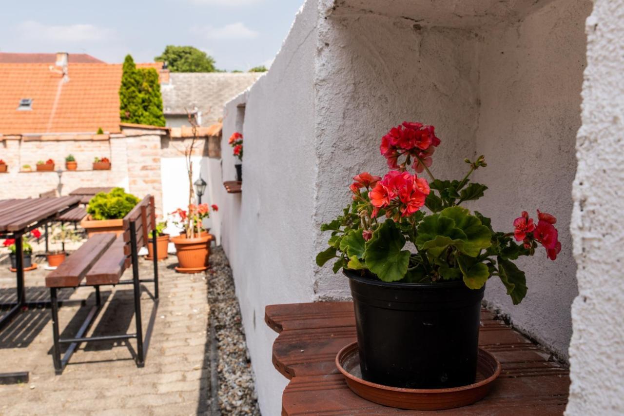 Fenyes Vinorium Bed & Breakfast Sopron Bagian luar foto