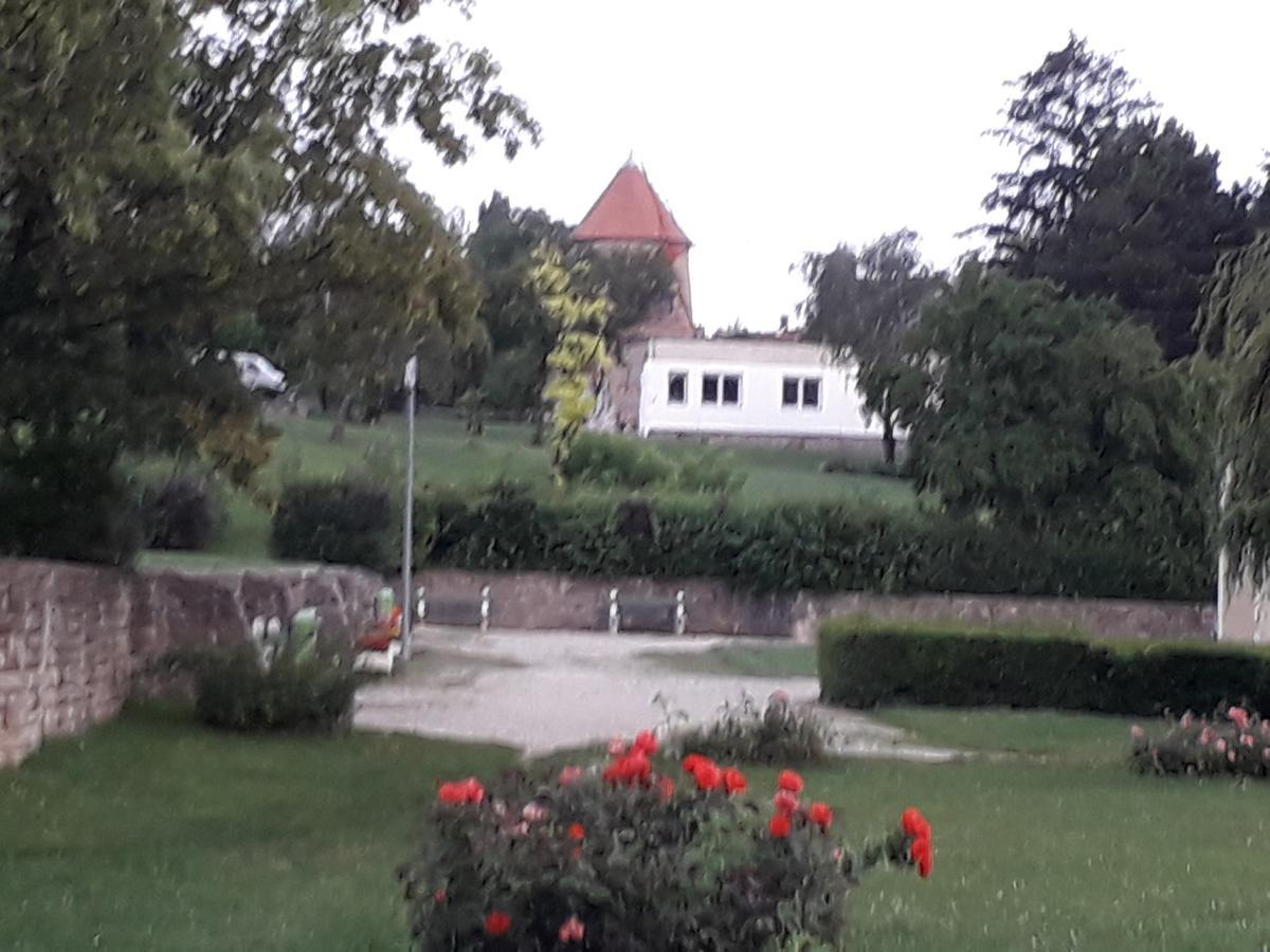 Fenyes Vinorium Bed & Breakfast Sopron Bagian luar foto